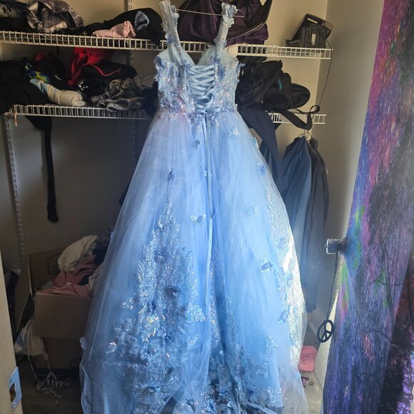 A beautiful ladivine ball gown/ quinceneara gown - Picture 2 of 5